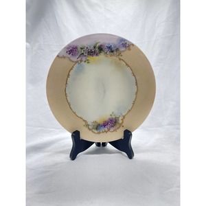 Antique hand painted bone China plate
